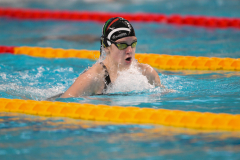 XXVIII Gran Premio Shark
20-21 Dicembre 2025
Piscina Scandone Napoli