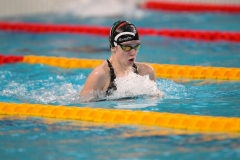 XXVIII Gran Premio Shark
20-21 Dicembre 2025
Piscina Scandone Napoli