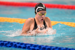 XXVIII Gran Premio Shark
20-21 Dicembre 2025
Piscina Scandone Napoli