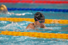 XXVIII Gran Premio Shark
20-21 Dicembre 2025
Piscina Scandone Napoli