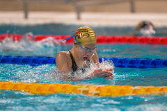 XXVIII Gran Premio Shark
20-21 Dicembre 2025
Piscina Scandone Napoli