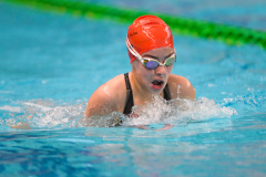 XXVIII Gran Premio Shark
20-21 Dicembre 2025
Piscina Scandone Napoli