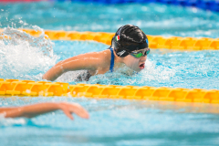 XXVIII Gran Premio Shark20-21 Dicembre 2025Piscina Scandone Napoli