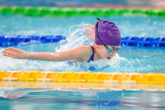 XXVIII Gran Premio Shark20-21 Dicembre 2025Piscina Scandone Napoli