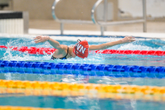 XXVIII Gran Premio Shark20-21 Dicembre 2025Piscina Scandone Napoli