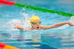 XXVIII Gran Premio Shark20-21 Dicembre 2025Piscina Scandone Napoli