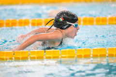 XXVIII Gran Premio Shark20-21 Dicembre 2025Piscina Scandone Napoli