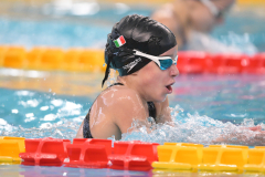 XXVIII Gran Premio Shark20-21 Dicembre 2025Piscina Scandone Napoli