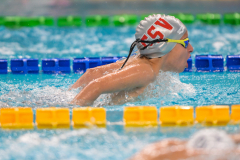 XXVIII Gran Premio Shark20-21 Dicembre 2025Piscina Scandone Napoli