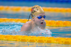 XXVIII Gran Premio Shark20-21 Dicembre 2025Piscina Scandone Napoli