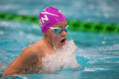 XXVIII Gran Premio Shark20-21 Dicembre 2025Piscina Scandone Napoli