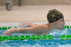 XXVIII Gran Premio Shark
20-21 Dicembre 2025
Piscina Scandone Napoli