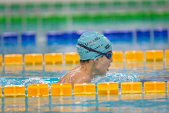 XXVIII Gran Premio Shark
20-21 Dicembre 2025
Piscina Scandone Napoli