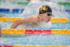 XXVIII Gran Premio Shark
20-21 Dicembre 2025
Piscina Scandone Napoli