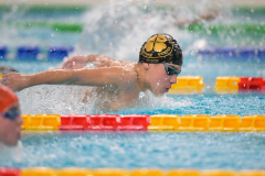 XXVIII Gran Premio Shark
20-21 Dicembre 2025
Piscina Scandone Napoli