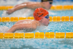 XXVIII Gran Premio Shark
20-21 Dicembre 2025
Piscina Scandone Napoli