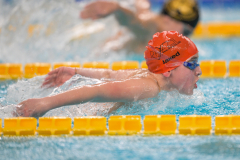 XXVIII Gran Premio Shark
20-21 Dicembre 2025
Piscina Scandone Napoli