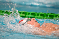 XXVIII Gran Premio Shark
20-21 Dicembre 2025
Piscina Scandone Napoli