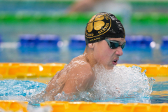 XXVIII Gran Premio Shark
20-21 Dicembre 2025
Piscina Scandone Napoli