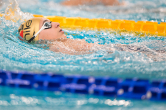 XXVIII Gran Premio Shark
20-21 Dicembre 2025
Piscina Scandone Napoli