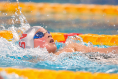 XXVIII Gran Premio Shark
20-21 Dicembre 2025
Piscina Scandone Napoli