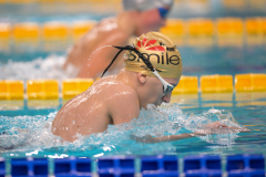 XXVIII Gran Premio Shark
20-21 Dicembre 2025
Piscina Scandone Napoli