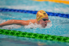 XXVIII Gran Premio Shark
20-21 Dicembre 2025
Piscina Scandone Napoli