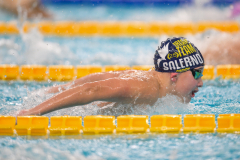 XXVIII Gran Premio Shark
20-21 Dicembre 2025
Piscina Scandone Napoli