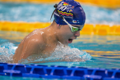 XXVIII Gran Premio Shark
20-21 Dicembre 2025
Piscina Scandone Napoli