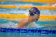 XXVIII Gran Premio Shark
20-21 Dicembre 2025
Piscina Scandone Napoli