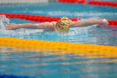 XXVIII Gran Premio Shark
20-21 Dicembre 2025
Piscina Scandone Napoli