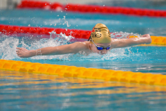 XXVIII Gran Premio Shark
20-21 Dicembre 2025
Piscina Scandone Napoli