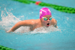 XXVIII Gran Premio Shark
20-21 Dicembre 2025
Piscina Scandone Napoli