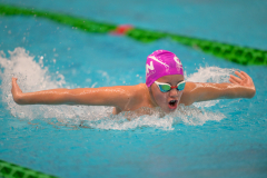 XXVIII Gran Premio Shark
20-21 Dicembre 2025
Piscina Scandone Napoli