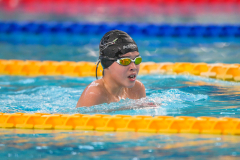 XXVIII Gran Premio Shark20-21 Dicembre 2025Piscina Scandone Napoli