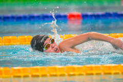 XXVIII Gran Premio Shark20-21 Dicembre 2025Piscina Scandone Napoli