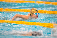 XXVIII Gran Premio Shark20-21 Dicembre 2025Piscina Scandone Napoli