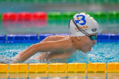 XXVIII Gran Premio Shark
20-21 Dicembre 2025
Piscina Scandone Napoli