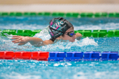 XXVIII Gran Premio Shark
20-21 Dicembre 2025
Piscina Scandone Napoli