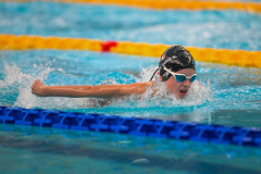 XXVIII Gran Premio Shark
20-21 Dicembre 2025
Piscina Scandone Napoli