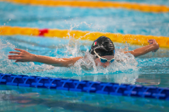 XXVIII Gran Premio Shark
20-21 Dicembre 2025
Piscina Scandone Napoli