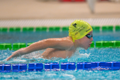 XXVIII Gran Premio Shark
20-21 Dicembre 2025
Piscina Scandone Napoli