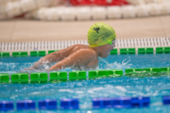 XXVIII Gran Premio Shark
20-21 Dicembre 2025
Piscina Scandone Napoli