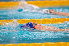 XXVIII Gran Premio Shark
20-21 Dicembre 2025
Piscina Scandone Napoli