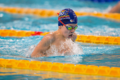 XXVIII Gran Premio Shark
20-21 Dicembre 2025
Piscina Scandone Napoli