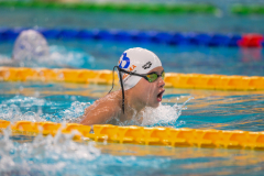 XXVIII Gran Premio Shark
20-21 Dicembre 2025
Piscina Scandone Napoli