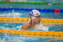 XXVIII Gran Premio Shark
20-21 Dicembre 2025
Piscina Scandone Napoli