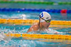 XXVIII Gran Premio Shark
20-21 Dicembre 2025
Piscina Scandone Napoli