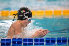 XXVIII Gran Premio Shark
20-21 Dicembre 2025
Piscina Scandone Napoli