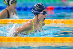 XXVIII Gran Premio Shark20-21 Dicembre 2025Piscina Scandone Napoli